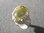 Ring Anemone mit Lemon Citrin